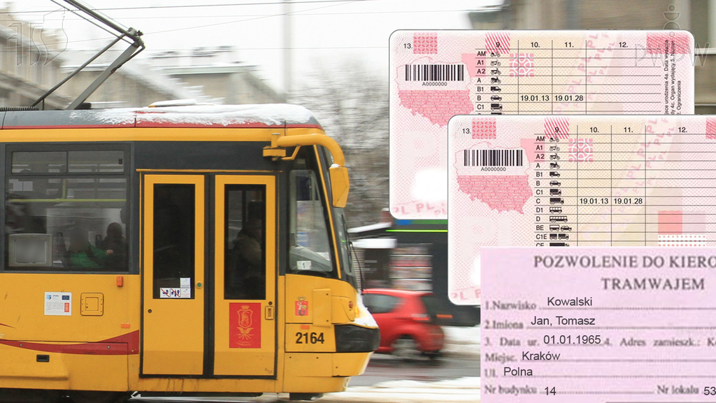 Sytuacja drogowa — pytanie 7102: Jaki dokument uprawnia do kierowania tramwajem?