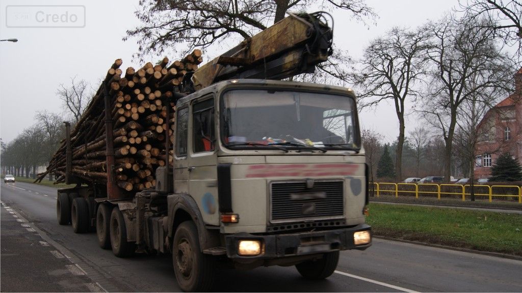 Sytuacja drogowa — pytanie 8801: Czy wolno Ci przewozić dziecko powyżej 150 cm wzrostu na przednim siedzeniu w kabinie samochodu ciężarowego?
