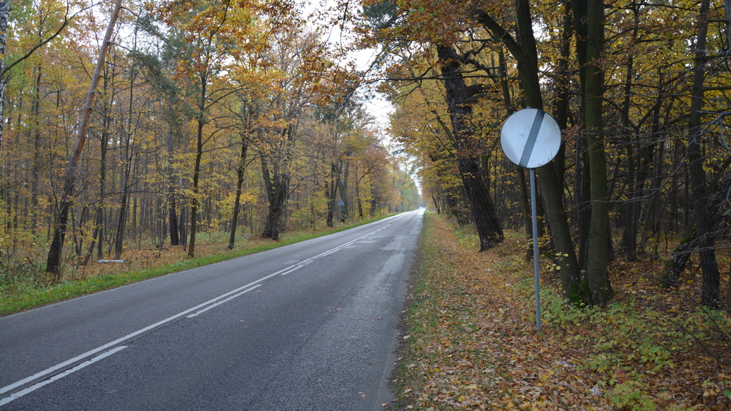 Sytuacja drogowa — pytanie 11149: Czy przedstawiony znak odwołuje zakaz wyrażony znakiem B-35 „zakaz postoju”?