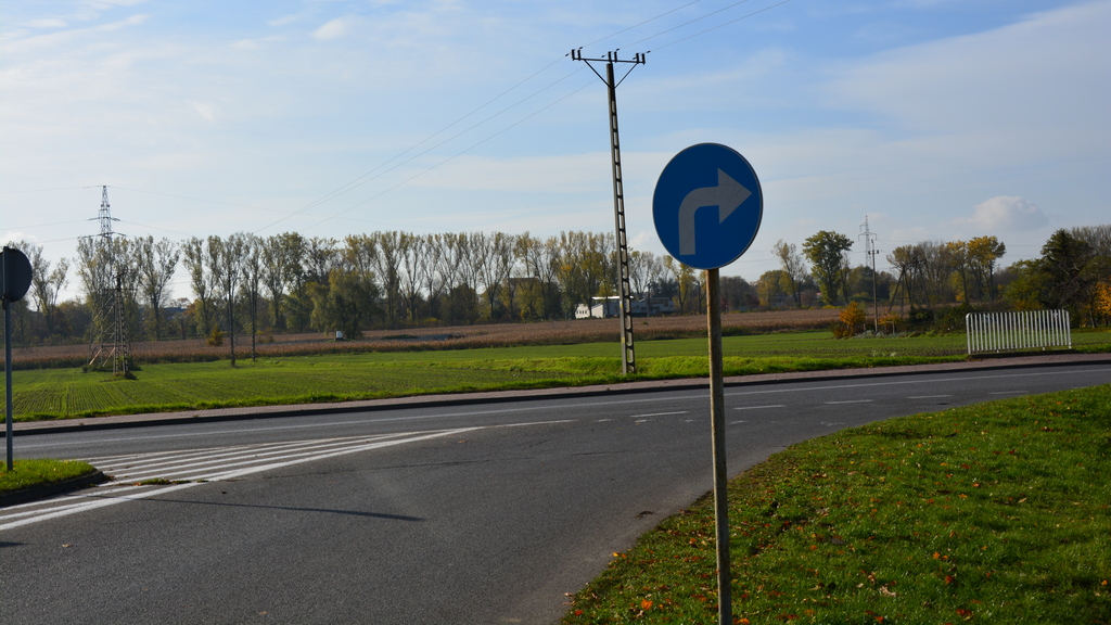 Sytuacja drogowa — pytanie 11161: Czy znak ten zobowiązuje kierującego do jazdy w prawo na najbliższym skrzyżowaniu?