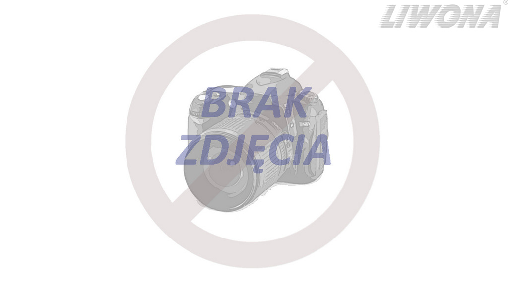 Sytuacja drogowa — pytanie 10099: Jaki może być objaw pęknięcia przewodu hamulcowego w samochodzie osobowym?